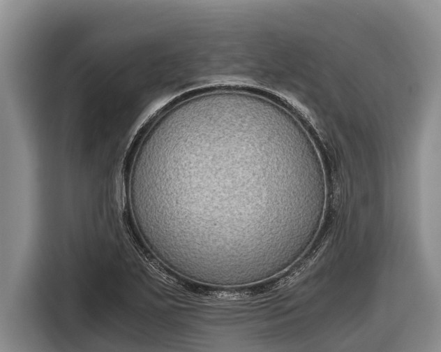 X0000116861271200912291253