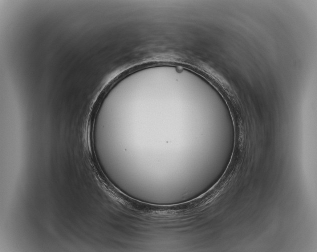 X0000116861272200912291253