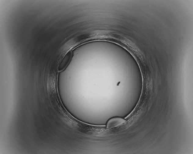 X0000116861273200912291253