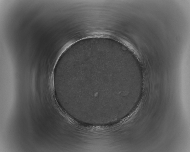 X0000116861275200912291252