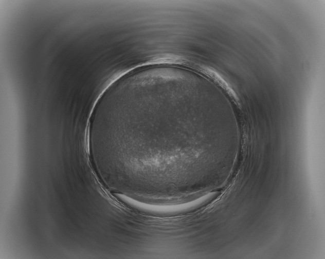 X0000116861276200912291252