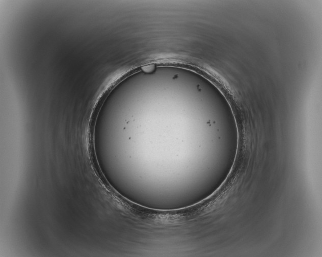 X0000116861277200912291252