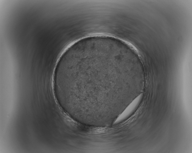 X0000116861279200912291252