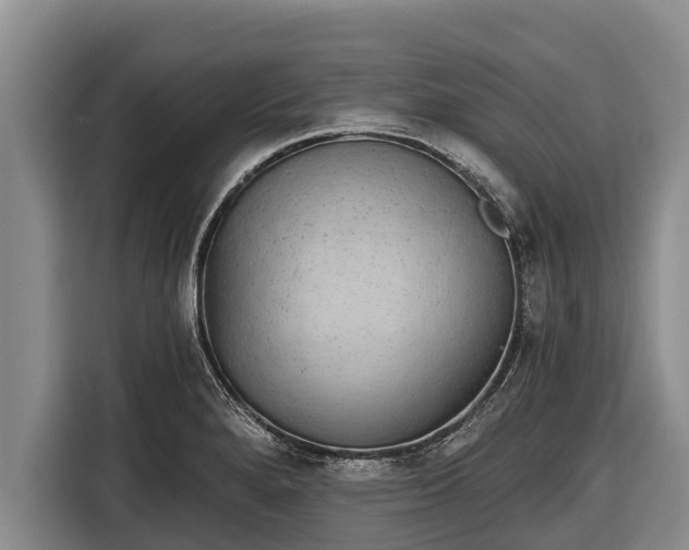 X0000116861280200912291252