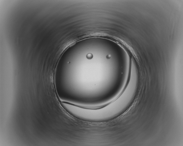 X0000116861281200912291252