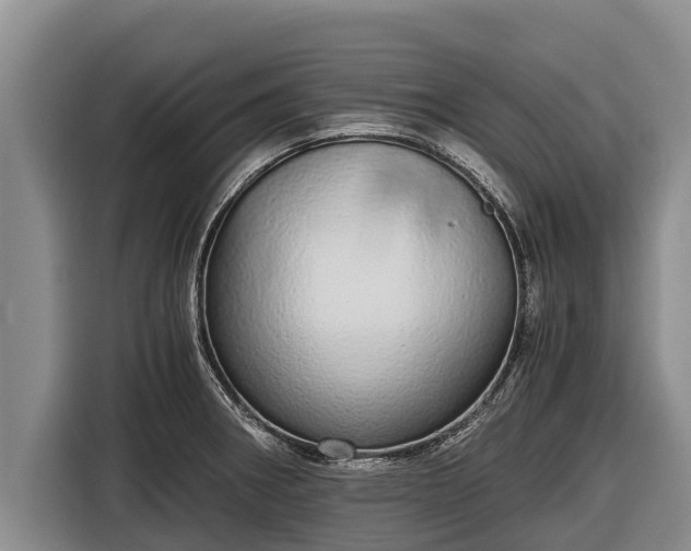 X0000116861282200912291252