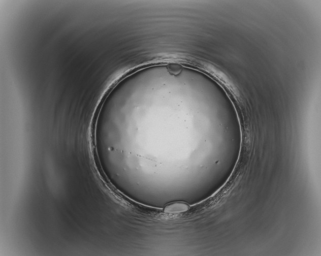 X0000116861283200912291252