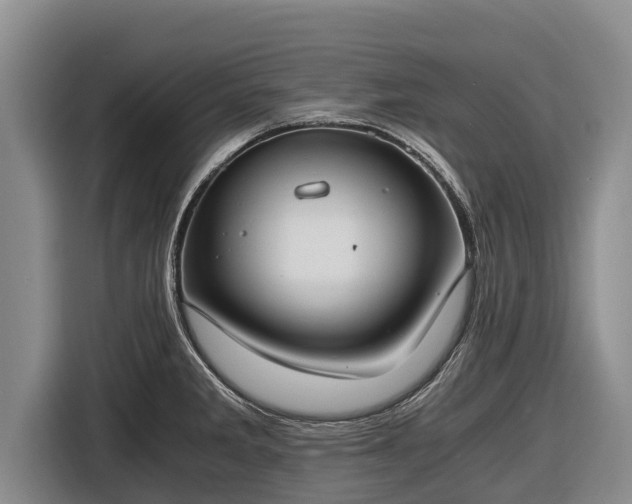X0000116861285200912291252