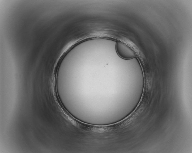 X0000116861286200912291252