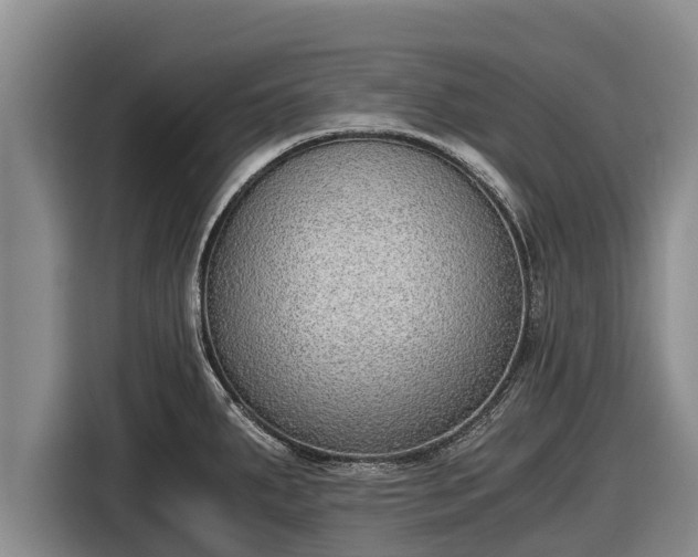 X0000116861287200912291252