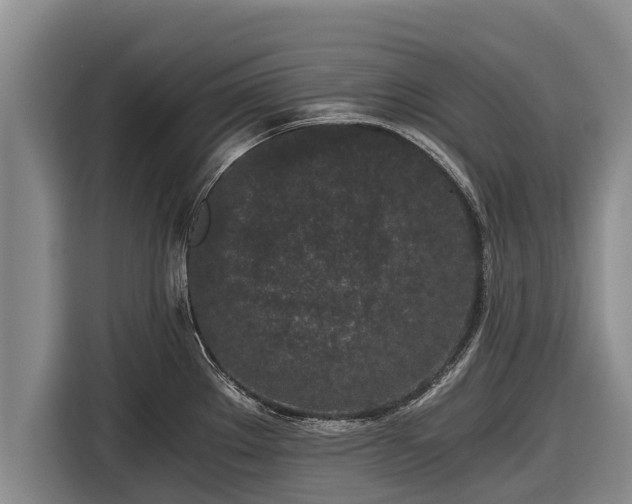 X0000116861289200912291252