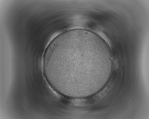 X0000116861290200912291252