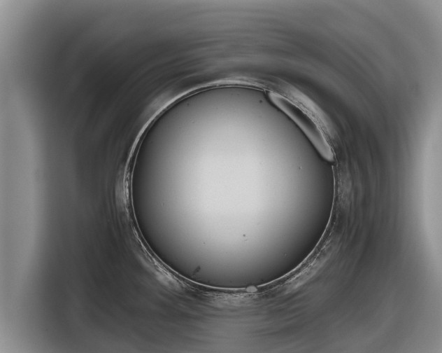 X0000116861292200912291252