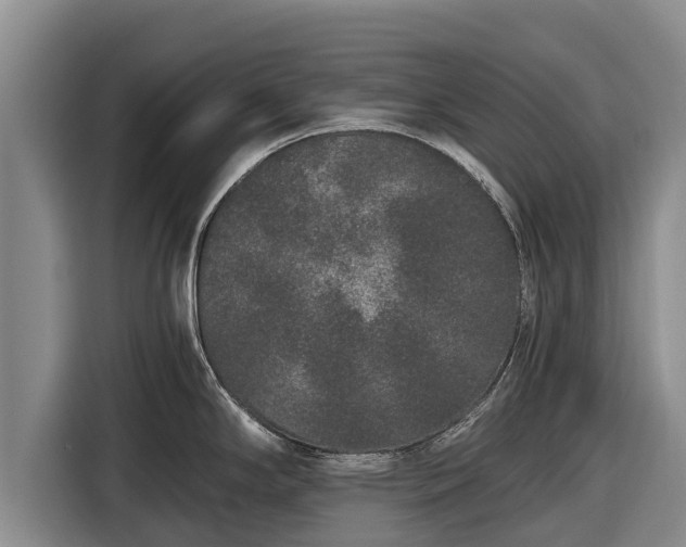 X0000116861294200912291252