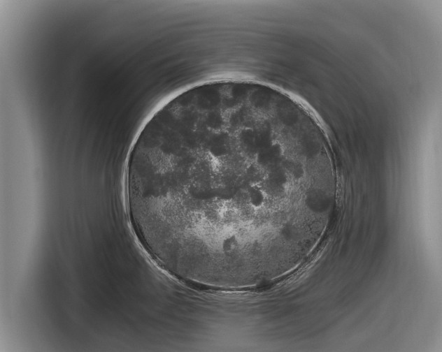 X0000116861295200912291252