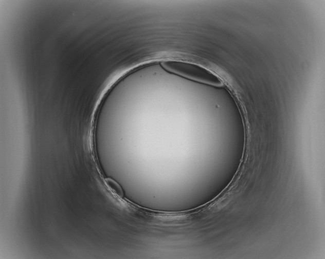 X0000116861296200912291252