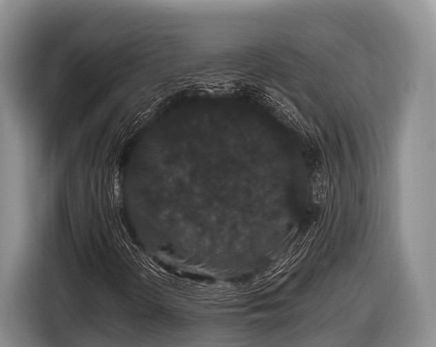 X0000116861298200912291252