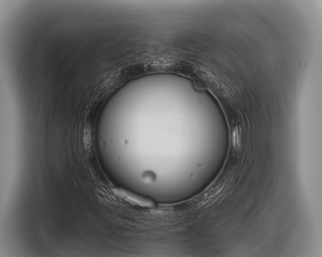 X0000116861299200912291252