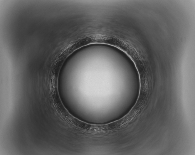 X0000116861301200912291252