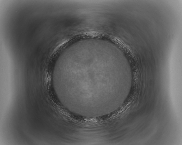 X0000116861302200912291252