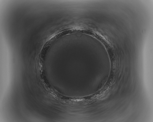 X0000116861303200912291252