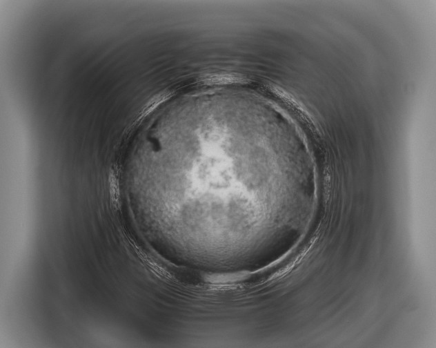 X0000116861305200912291252