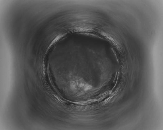 X0000116861306200912291252