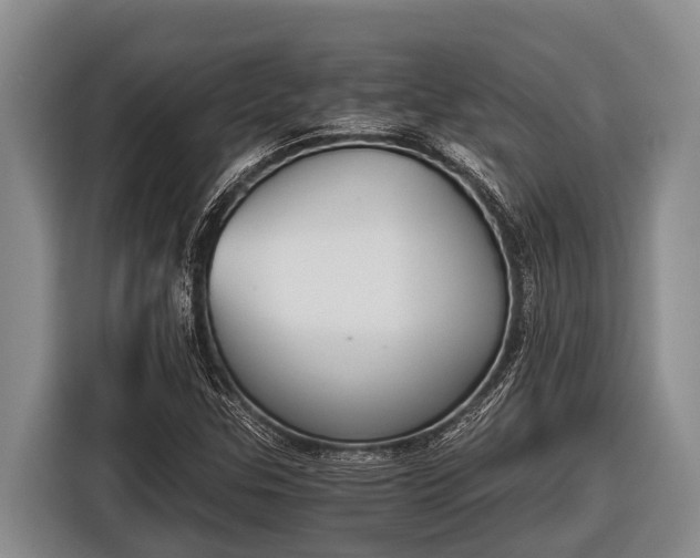 X0000116861307200912291252