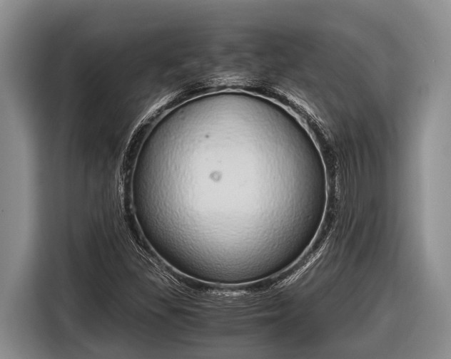 X0000116861309200912291252