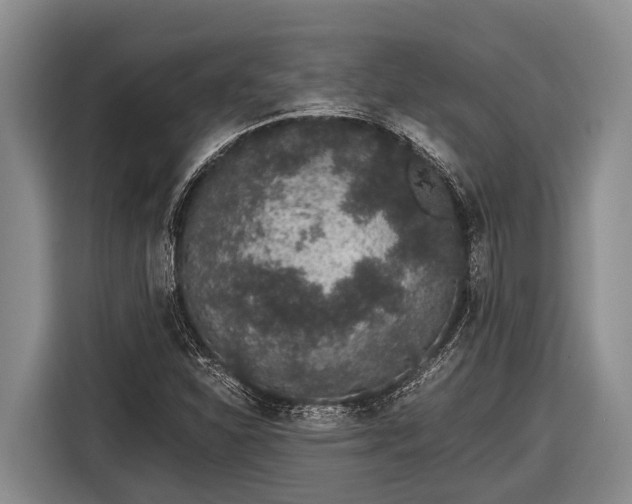 X0000116861310200912291252