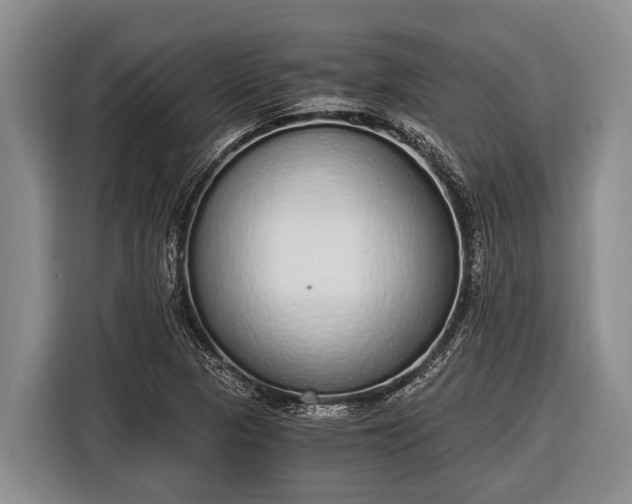 X0000116861313200912291252