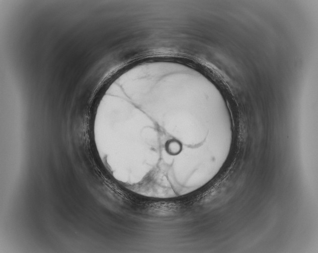 X0000116861314200912291252