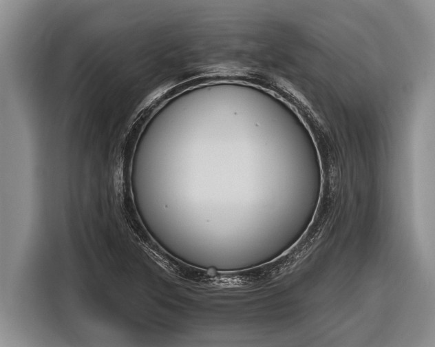 X0000116861315200912291252