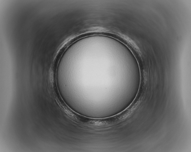 X0000116861318200912291252