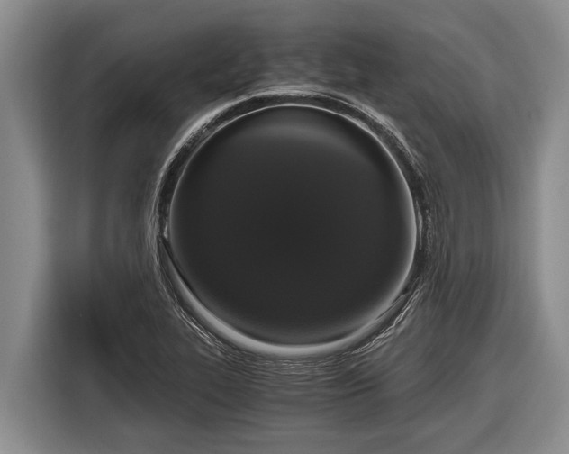 X0000116861319200912291252