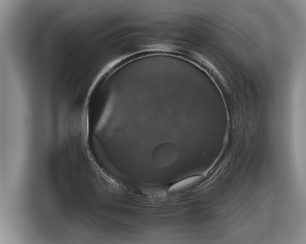 X0000116861323200912291252