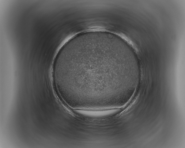 X0000116861325200912291252