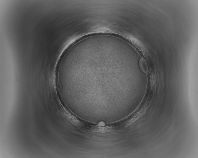 X0000116861326200912291252