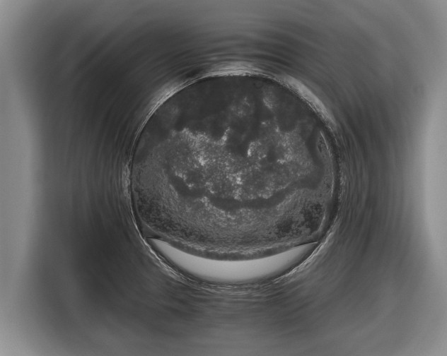 X0000116861329200912291252