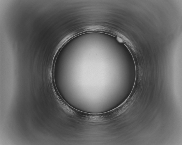 X0000116861330200912291252