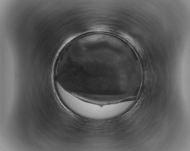 X0000116861331200912291252