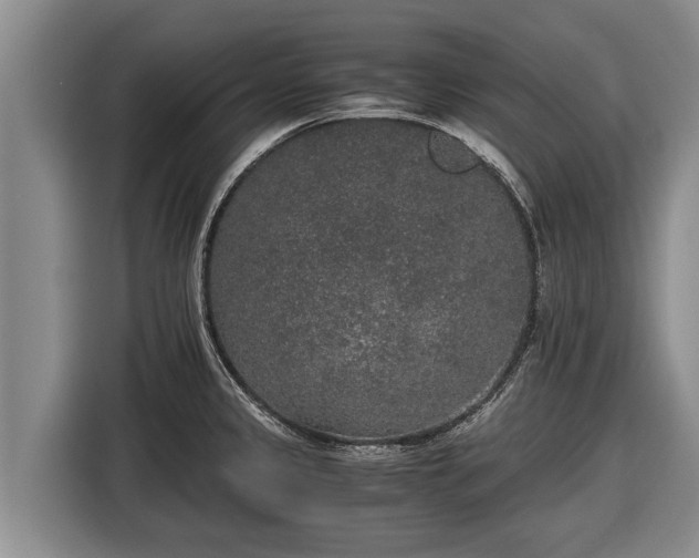 X0000116861333200912291252