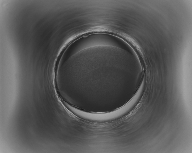 X0000116861334200912291252