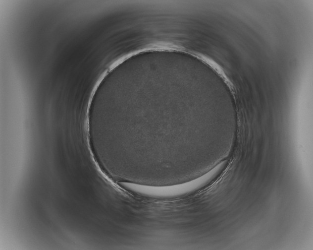 X0000116861335200912291252