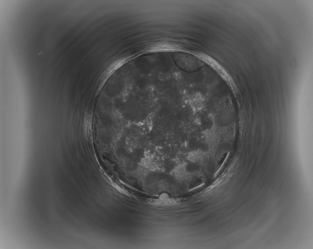 X0000116861337200912291252