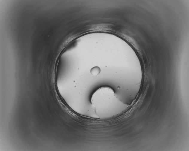X0000116861338200912291252