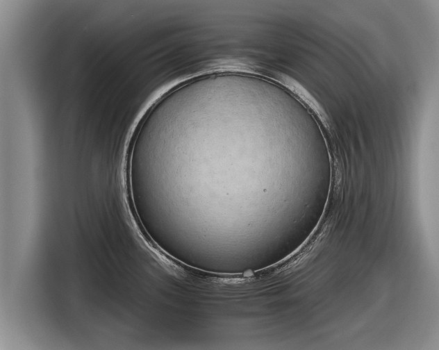 X0000116861339200912291252
