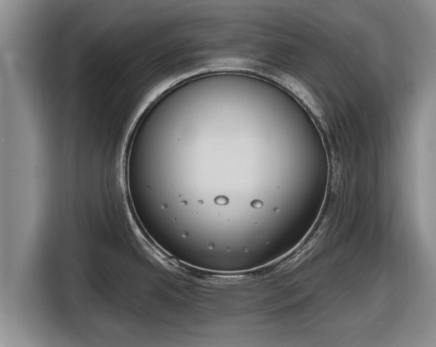 X0000116861342200912291252