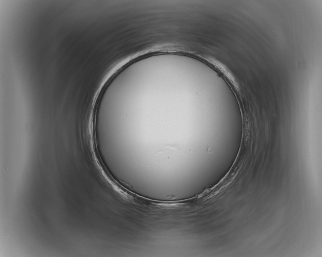 X0000116861343200912291252