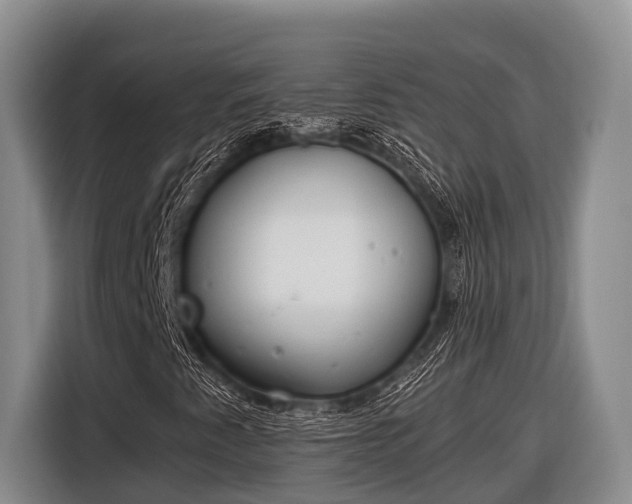 X0000116861345200912291252